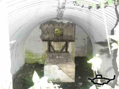 tl301